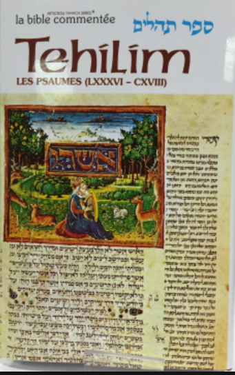 Sefer Tehilim - Les Psaumes IV