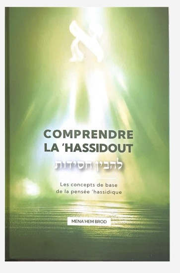 Comprendre la 'Hassidout Les concepts de base de la pensée 'Hassidique 