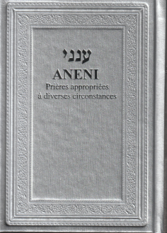 ANENI ענני (Gris)