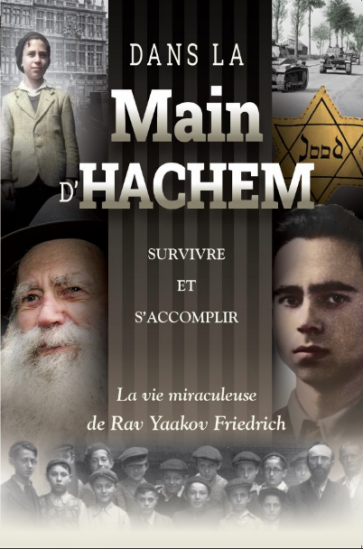 Dans la Main d'Hachem. La vie miraculeuse de Yaakov Friedrich