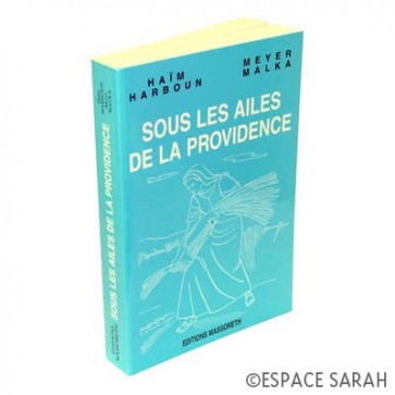 Sous les Ailes de la Providence - Tome I