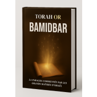 TORAH OR BAMIDBAR