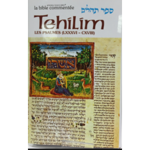 Sefer Tehilim - Les Psaumes IV