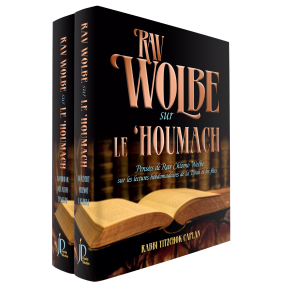 COFFRET DE RAV WOLBE SUR LE 'HOUMACH ET LES 'HAGUIM