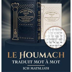 HAMICHA HOUMCHÉ TORAH TRADUIT MOT À MOT - ICH MATSLIA’H BLEU
