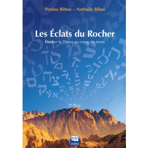 LES ÉCLATS DU ROCHER