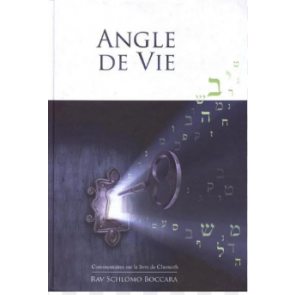 Angle de vie - CHEMOTH