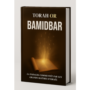 TORAH OR BAMIDBAR