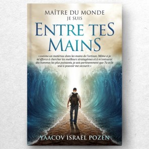 MAÎTRE DU MONDE ! ME VOICI ENTRE TES MAINS TOME 1