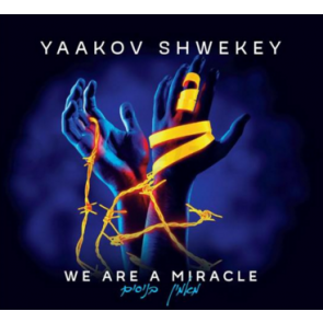 Yaacov Shwekey 2016