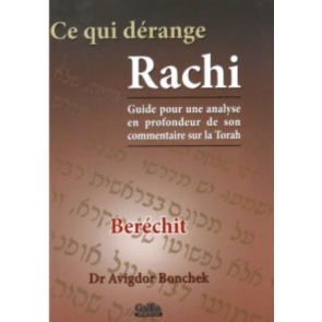 Ce qui dérange Rachi - BERECHIT