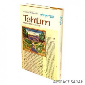 Sefer Tehilim - Les Psaumes I