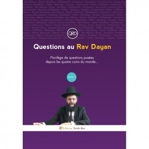 QUESTIONS AU RAV DAYAN (TOME 7)