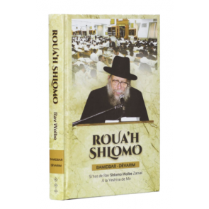 Rav Wolbe  Roua’h Shlomo  BAMIDBAR – DEVARIM
