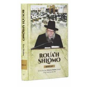 Rav Wolbe  Roua’h Shlomo  BERECHIT