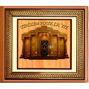 Tehilim Pour La Vie